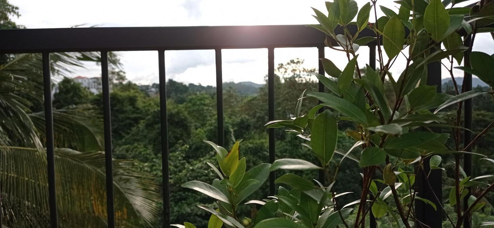 Villa Forest View - No: 50/17 Kandy Ngoại thất bức ảnh