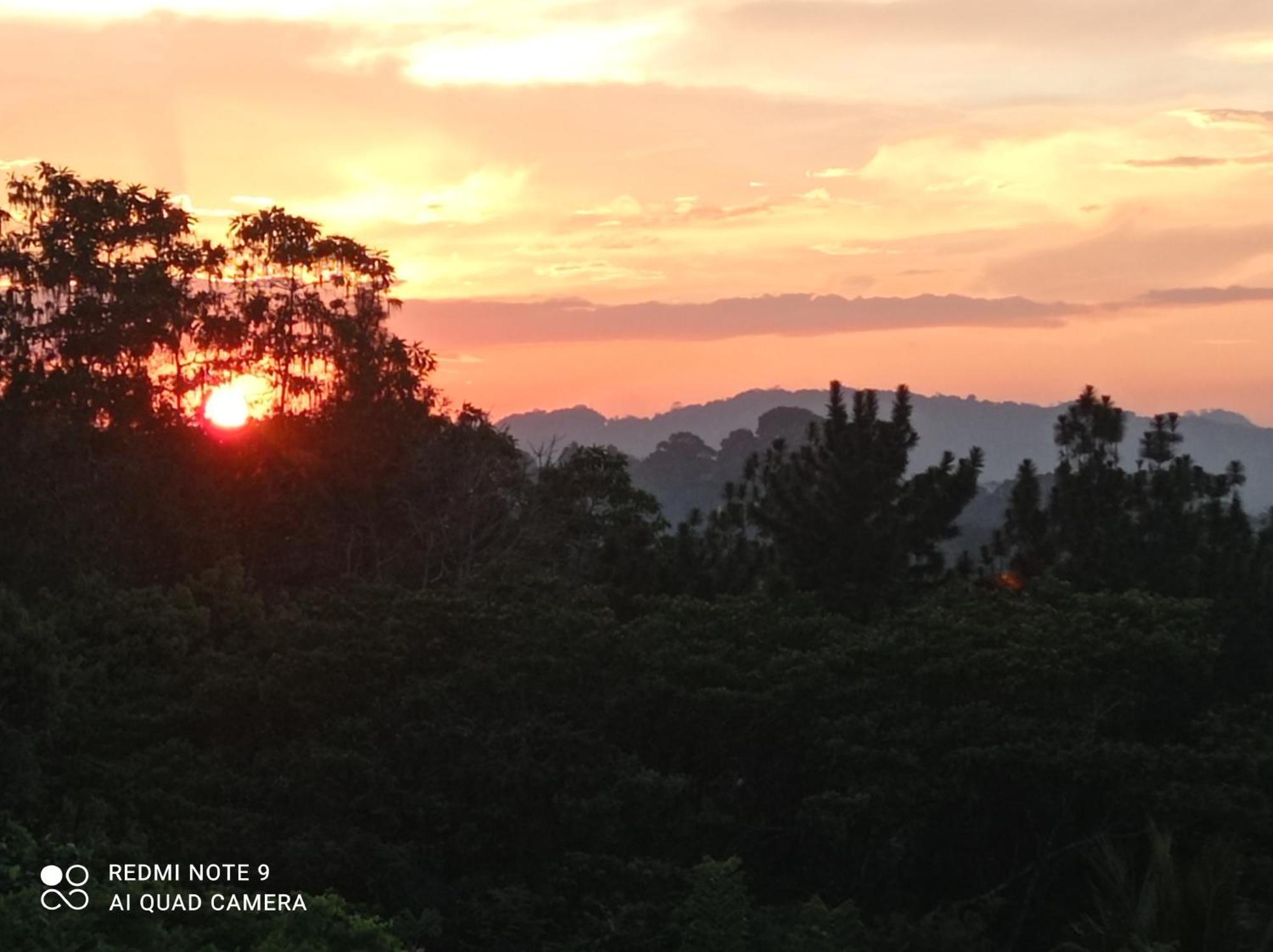 Villa Forest View - No: 50/17 Kandy Ngoại thất bức ảnh